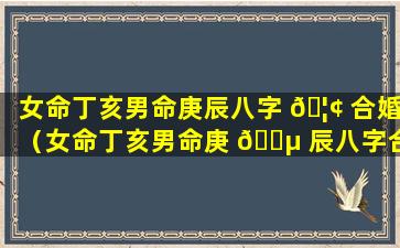 女命丁亥男命庚辰八字 🦢 合婚（女命丁亥男命庚 🌵 辰八字合婚好不好）